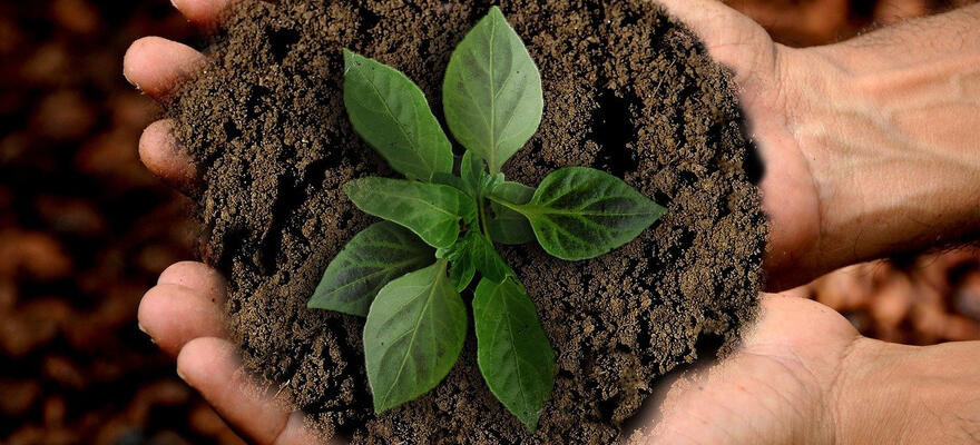 Savoir bien développer son entreprise