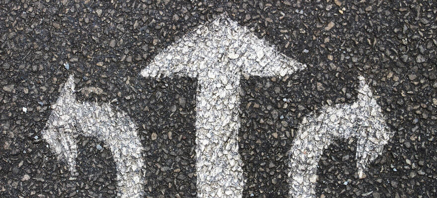 Entre IS et IR, quel régime fiscal choisir ?